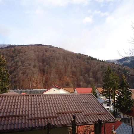 Villa Casa Serban Sinaia Exterior foto