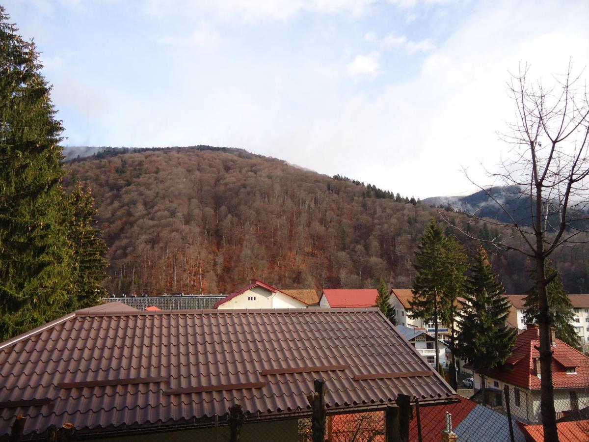 Villa Casa Serban Sinaia Exterior foto