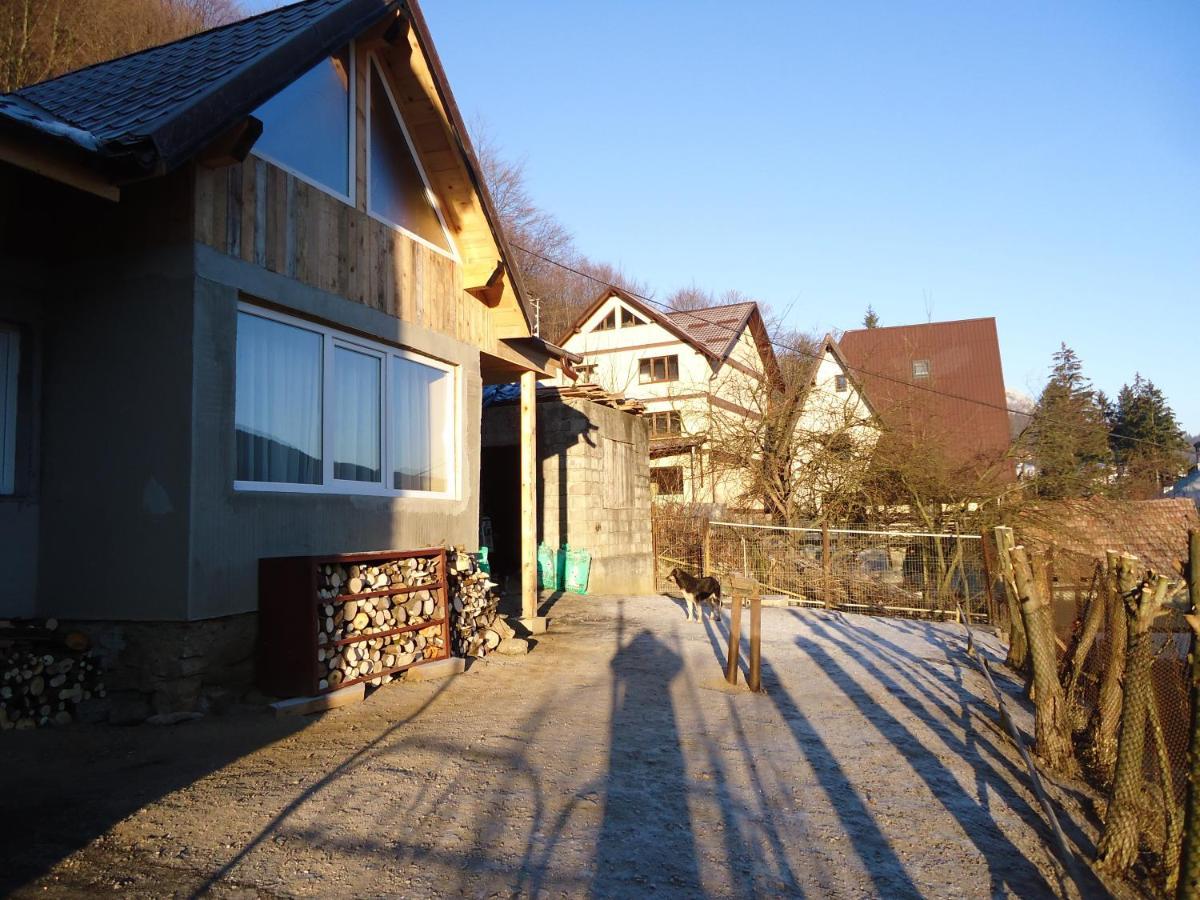 Villa Casa Serban Sinaia Exterior foto