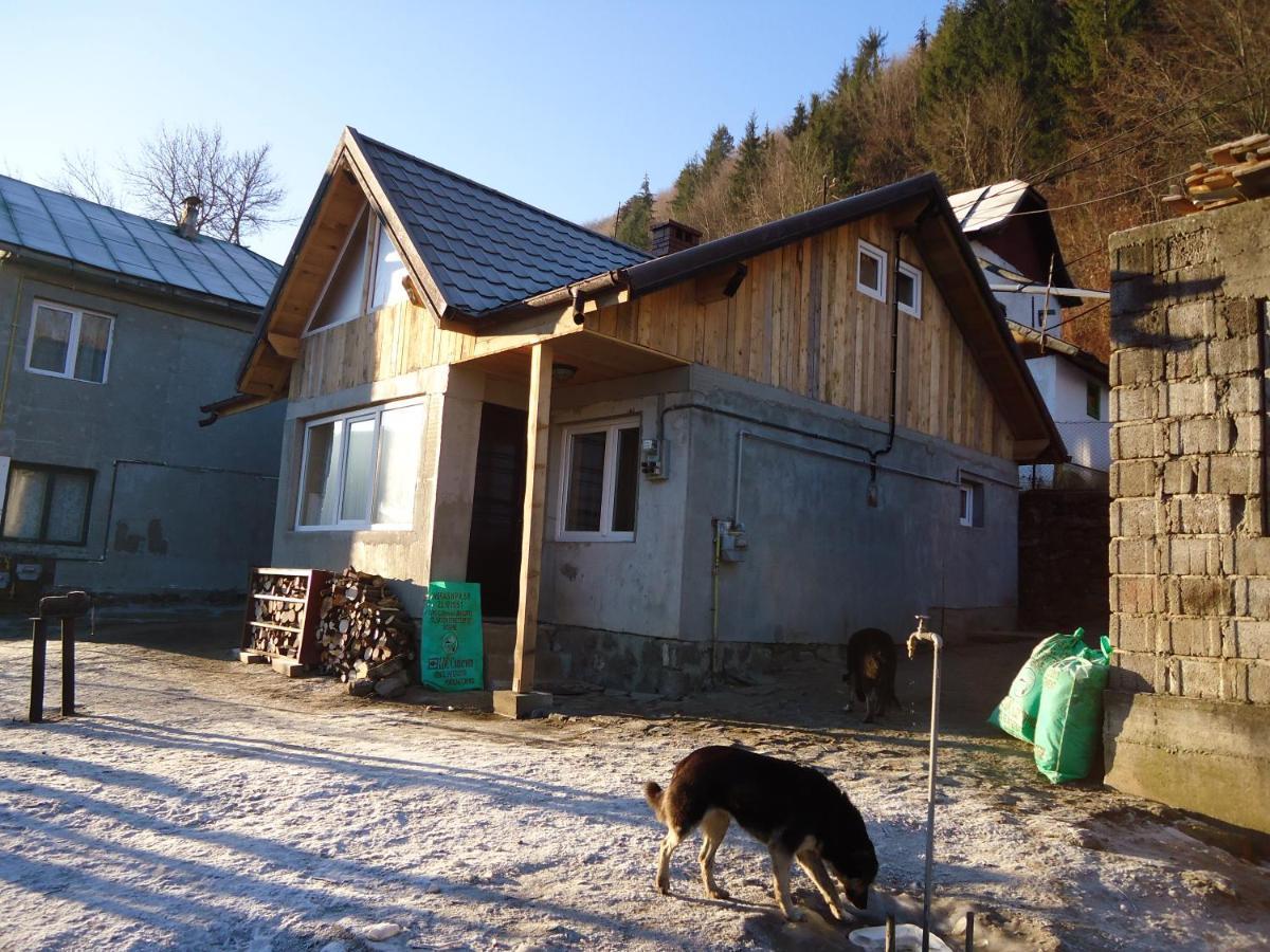 Villa Casa Serban Sinaia Exterior foto