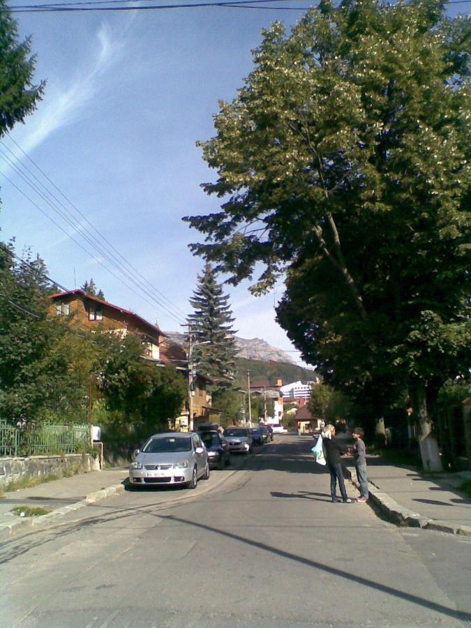 Villa Casa Serban Sinaia Exterior foto