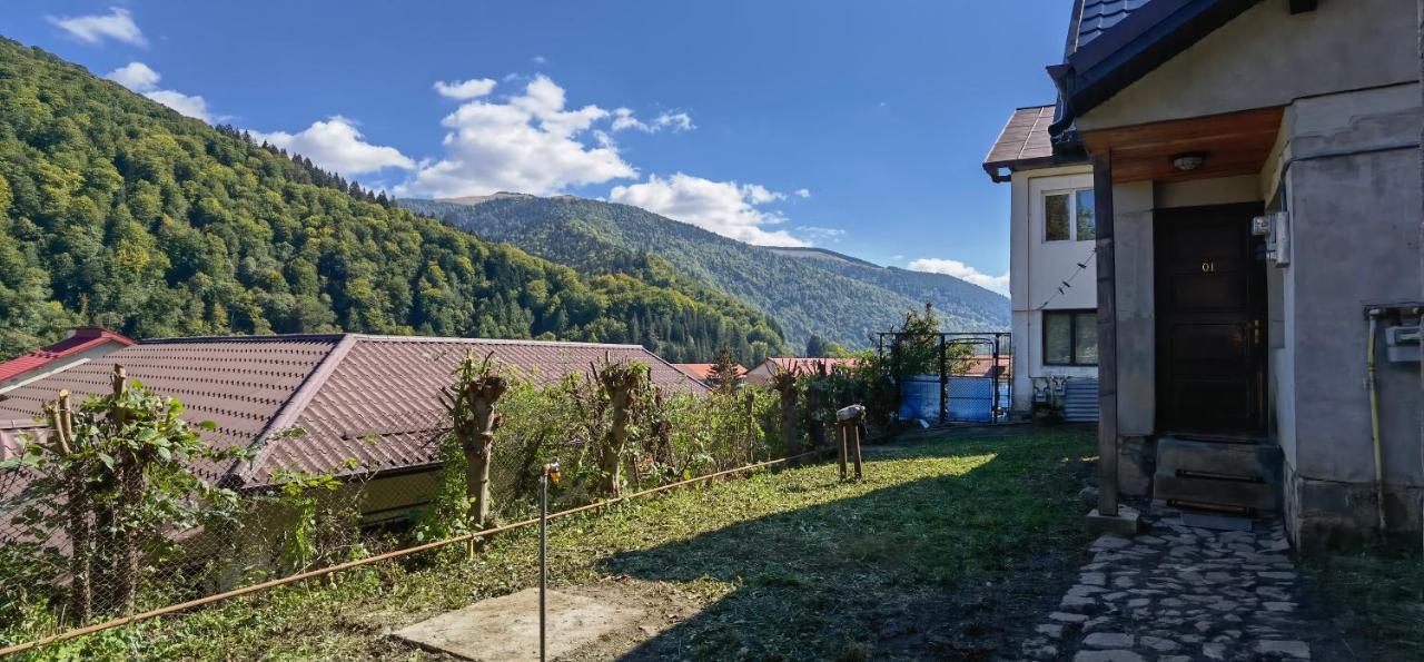 Villa Casa Serban Sinaia Exterior foto